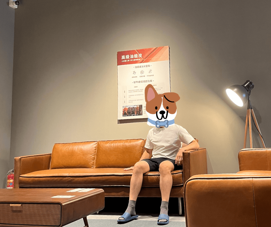 Matthew 三人全牛皮沙發
